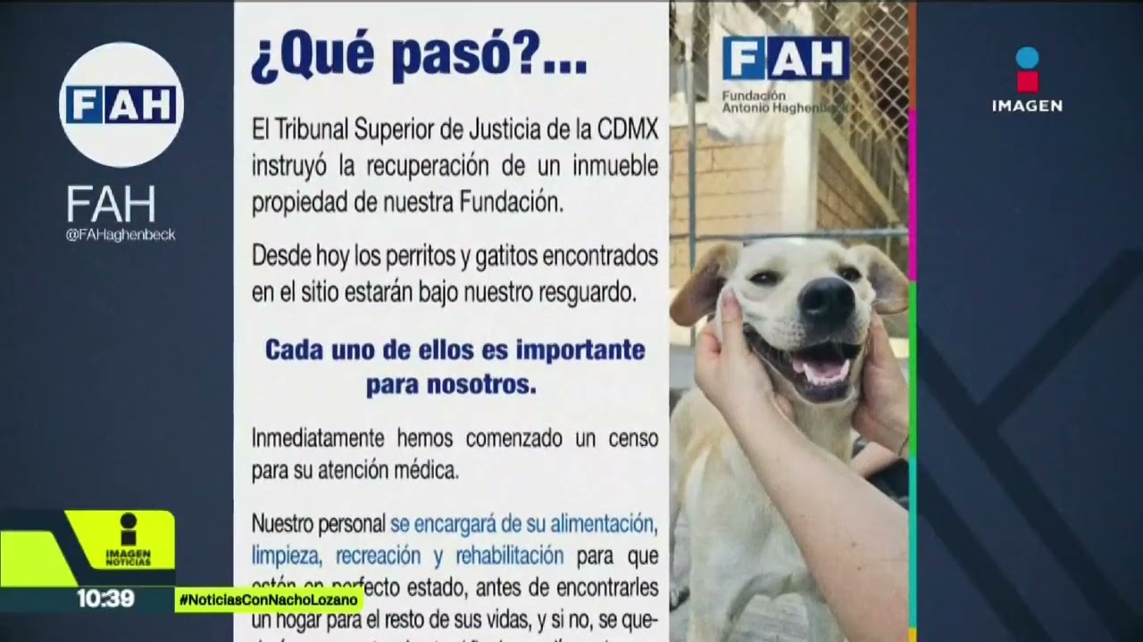 Animales del Refugio Franciscano, llevar&iacute;an 24 horas sin alimento tras desalojo | Nacho Lozano
