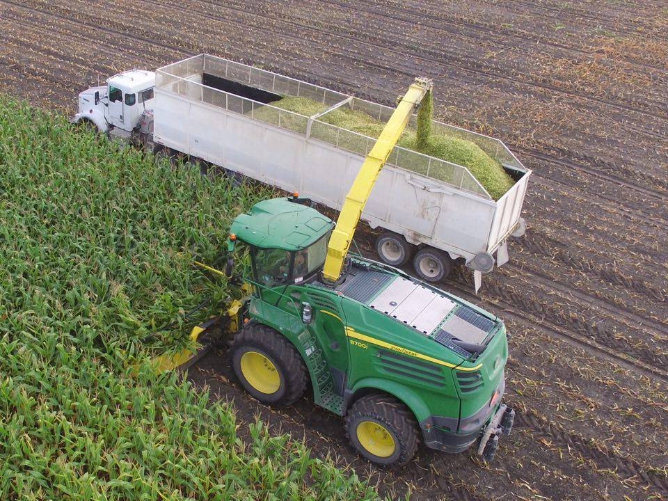 Friesen Harvesting 2016