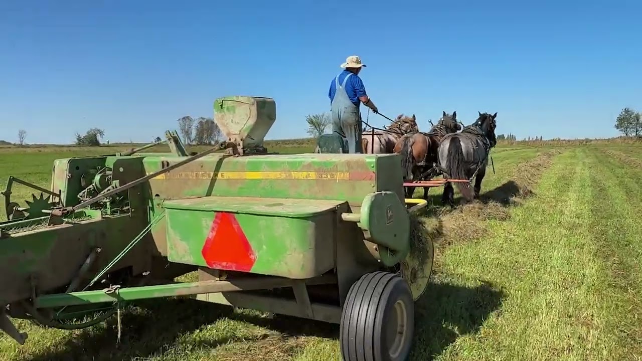 2025 American Brabant Assoc Rendezvous Day 2