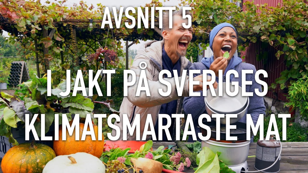 Klimatsmart vin och hållbart tilltugg