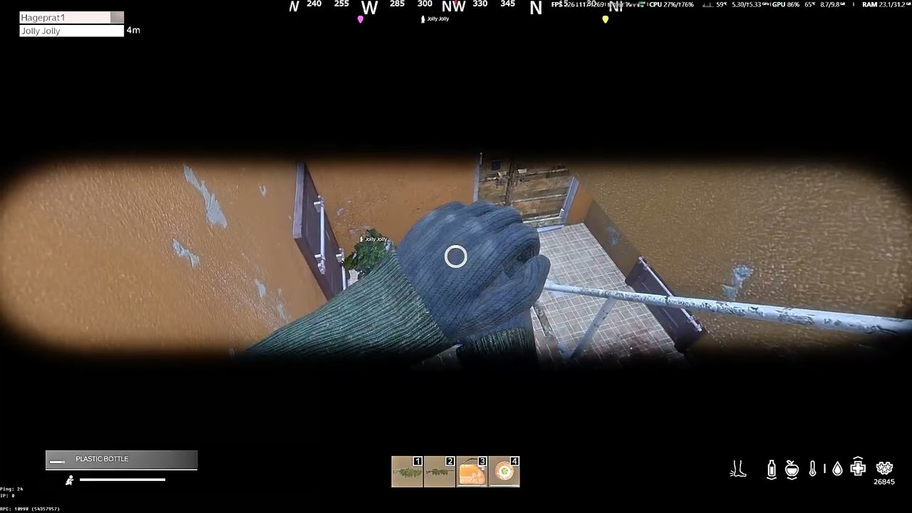 DayZ 2026 01 29   12 25 10 38 DVR