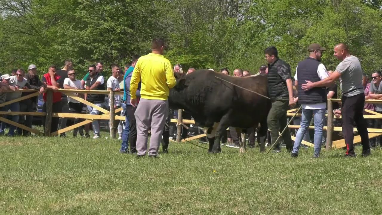 - PERONJA SINIŠE MANDIĆA I JELENKO REMZE DŽAFIĆA, CRLJENI KLJUČ 2024