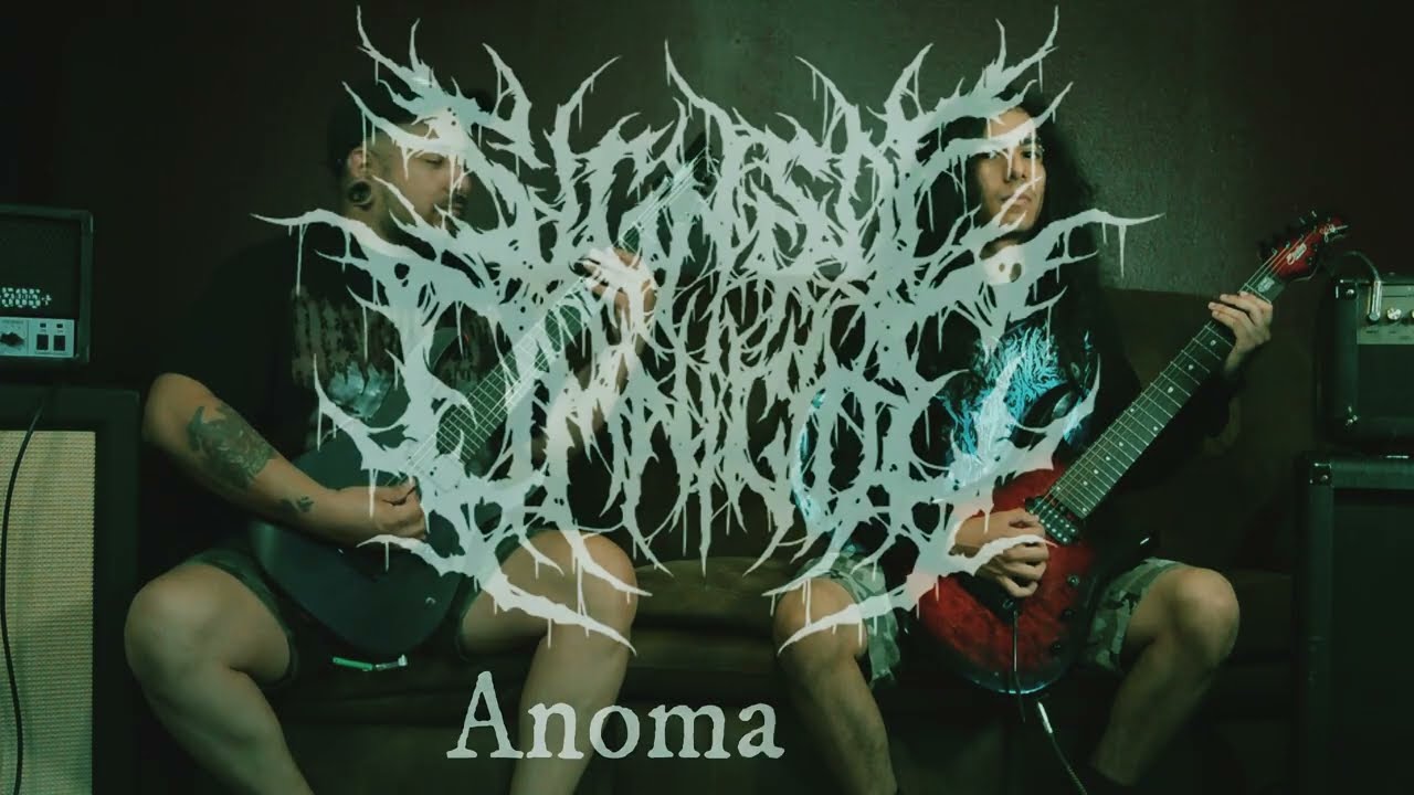 Signs Of Omnicide - Anomalies (guitar playthrough)