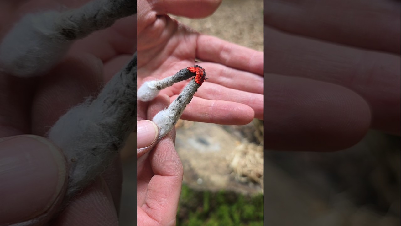 Feuermachen nur mit Watte und Holzasche! Gut f&uuml;r Feuertransport ✅️ #Survival #Skills #Survivalskills