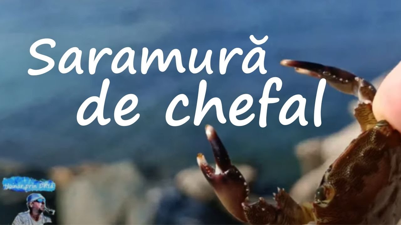 Saramură de chefal @HoinarPrinDeltă