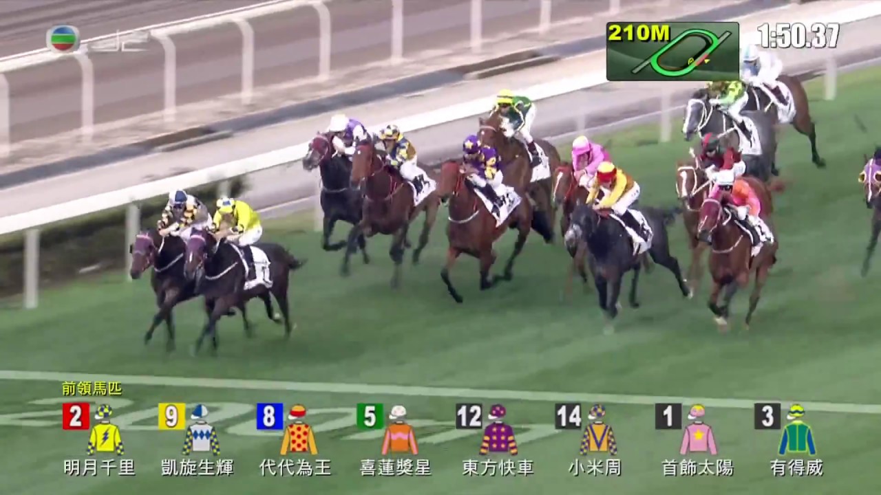 最強超新星長途馬！明月千里 布文 寶馬香港打吡大賽 G1 四歲馬A 2000米