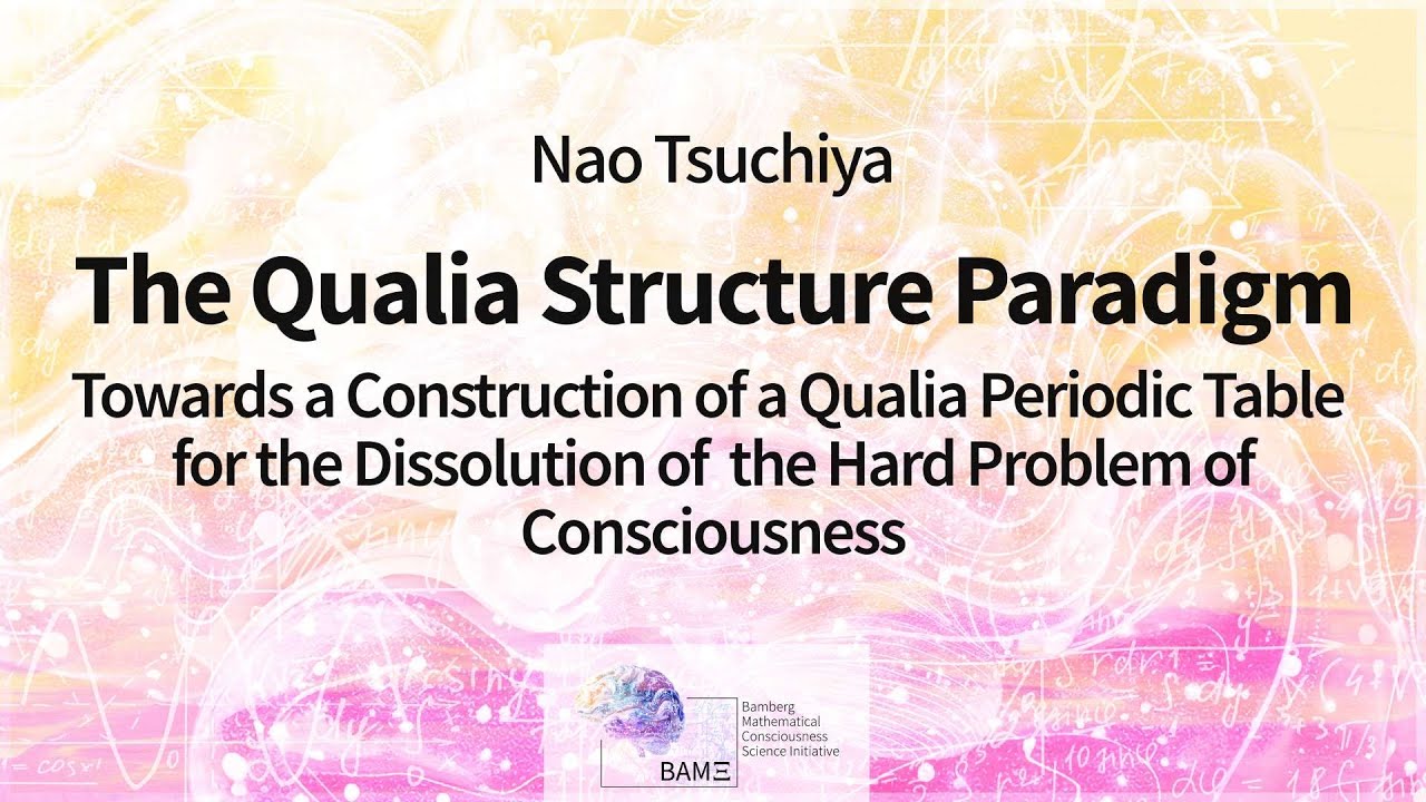 Nao Tsuchiya: The Qualia Structure Paradigm