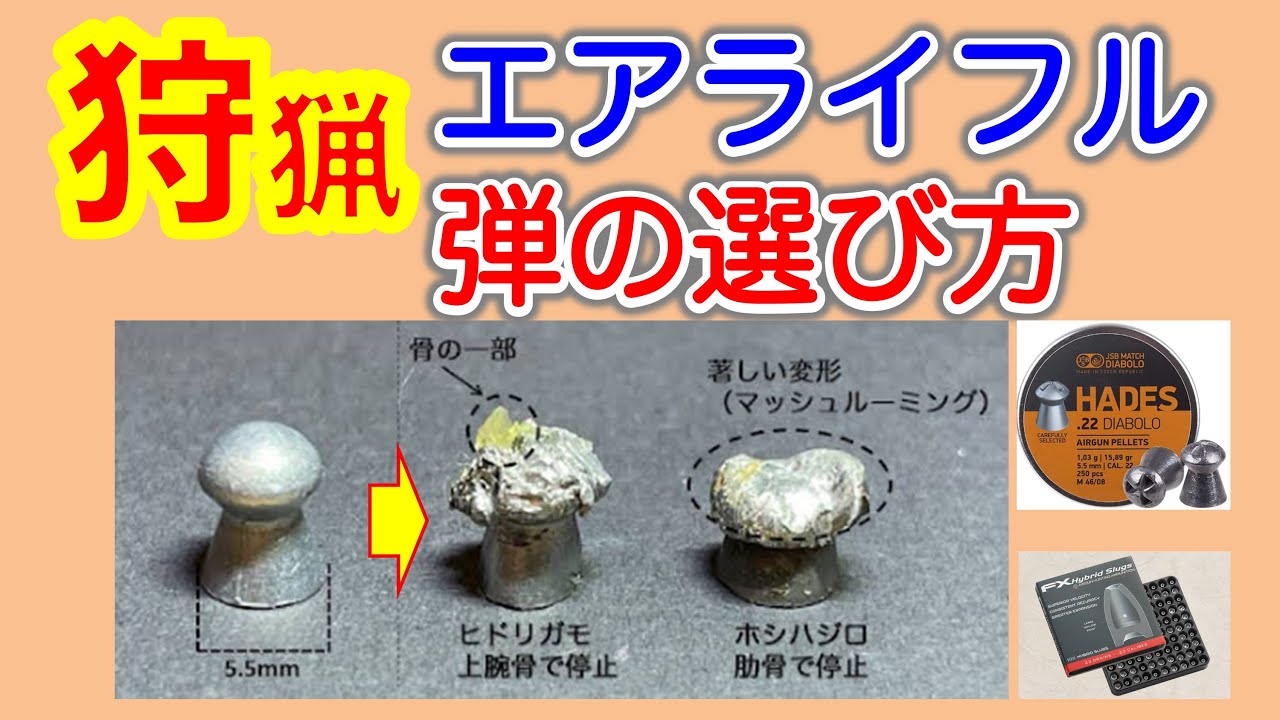 【狩猟　座学】これがベストでした　エアライフル用のペレットの選択
