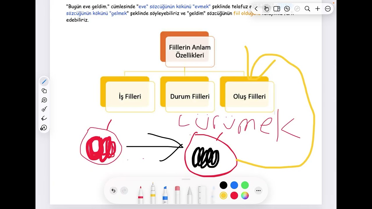7. Sınıf Türkçe fiiller