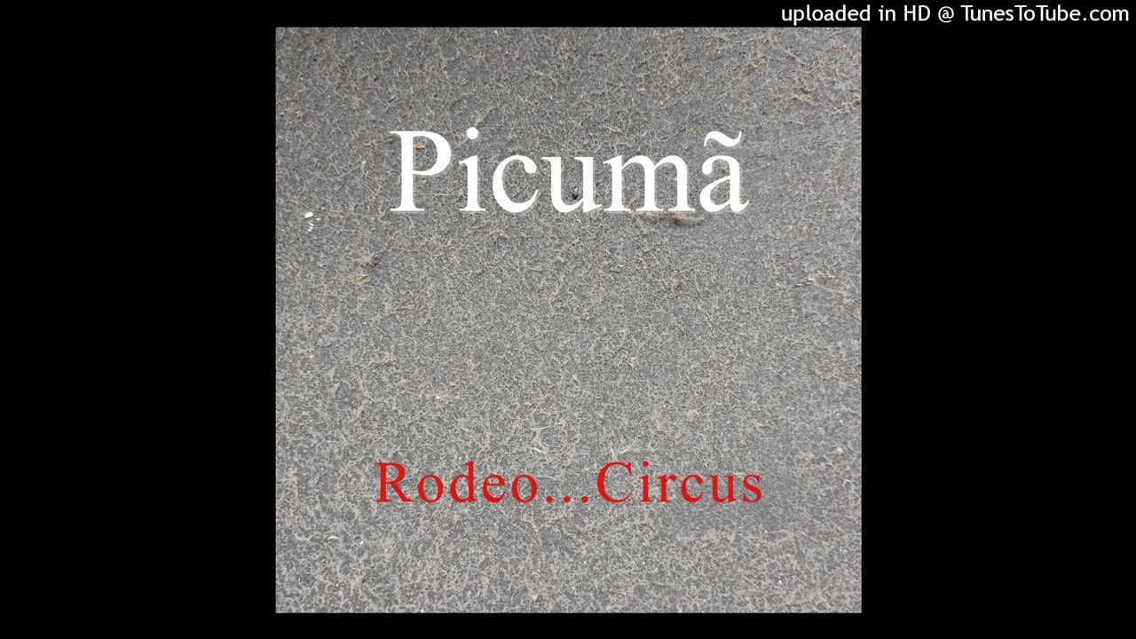 Elephant in the room - Picumã #music #song