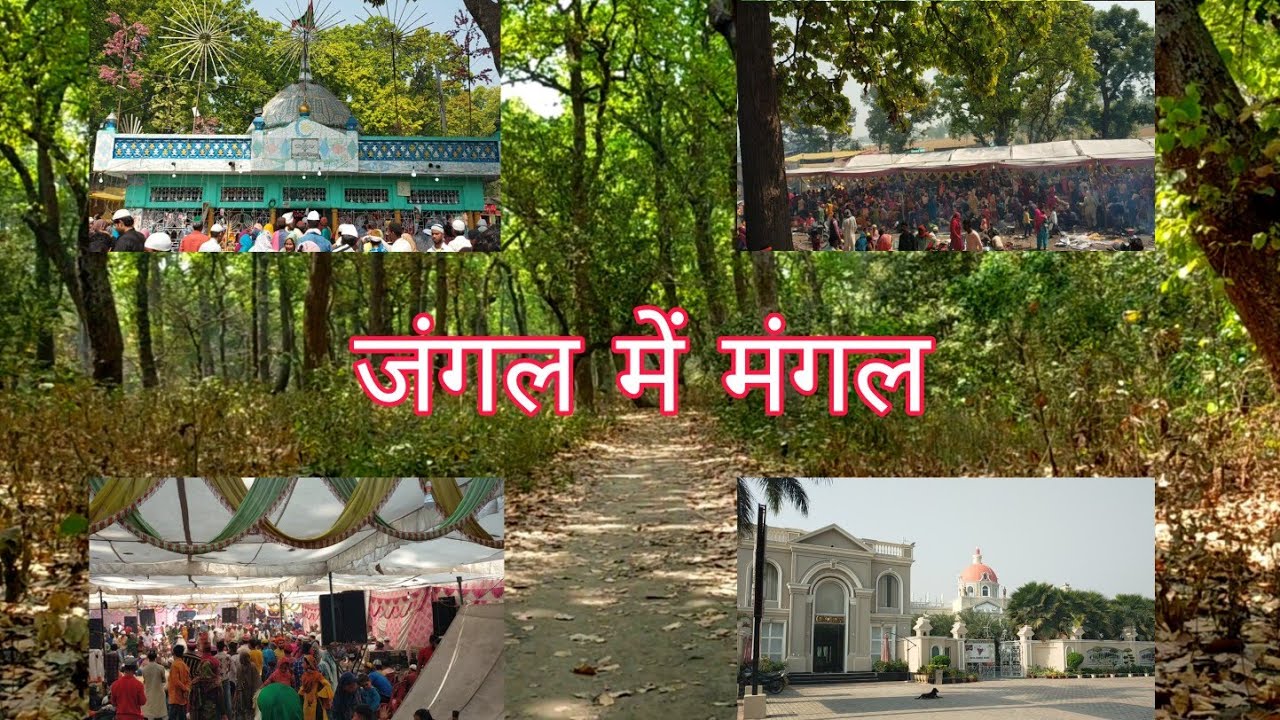 सेला बाबा और माला जंगल !! Urs Vlog !! Sela Baba Mala Jangal !