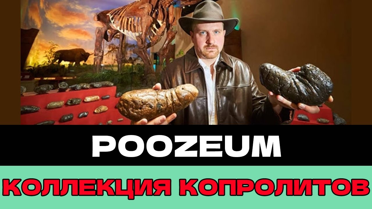 КРУПНЕЙШАЯ коллекция КОПРОЛИТОВ В США