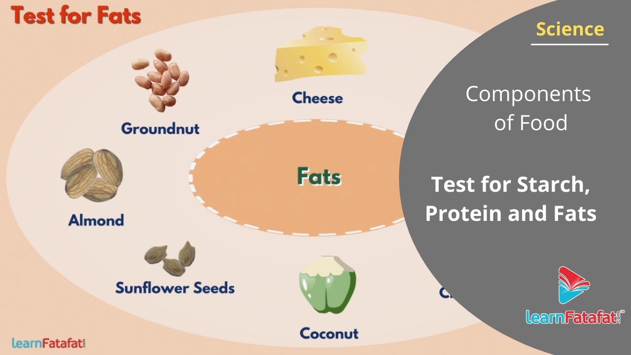 Components of Food Class 6 Science - Test for Starch, Protein and Fats
