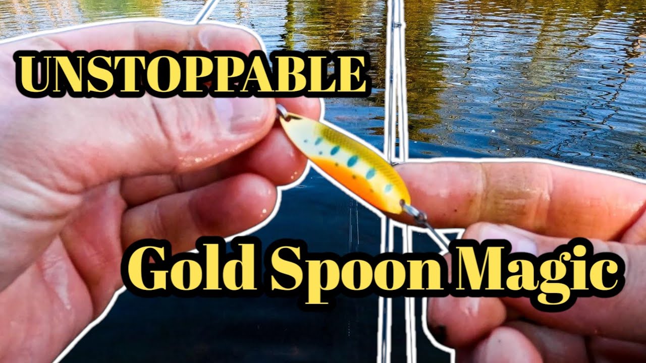 UNSTOPPABLE Gold Spoon Magic for UK River Trout !!! Fishing with @MattDunnellFishing