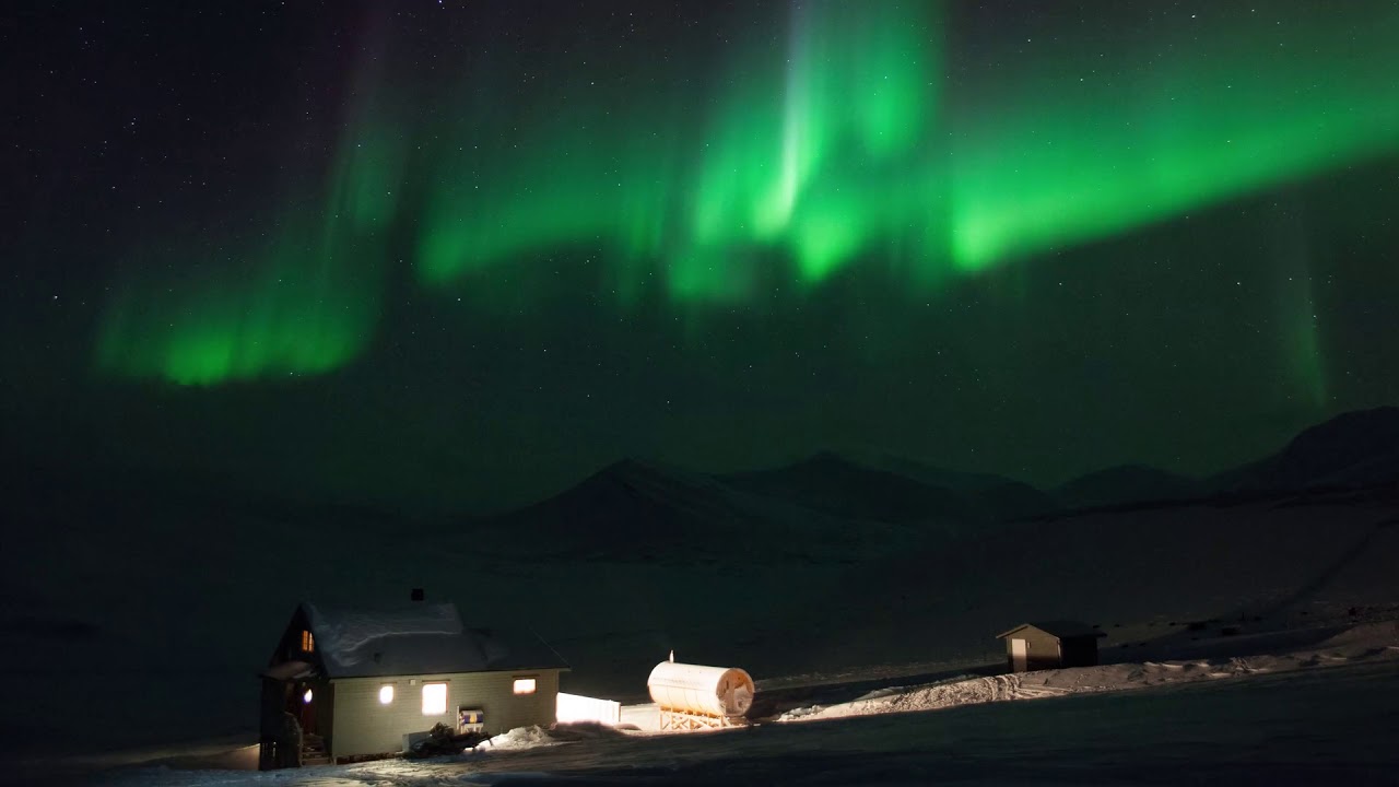Dog sledding under the Northern Lights