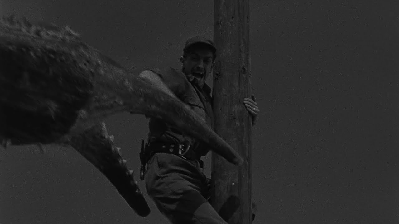 BLACK SCORPION Interrupts Telephone Service