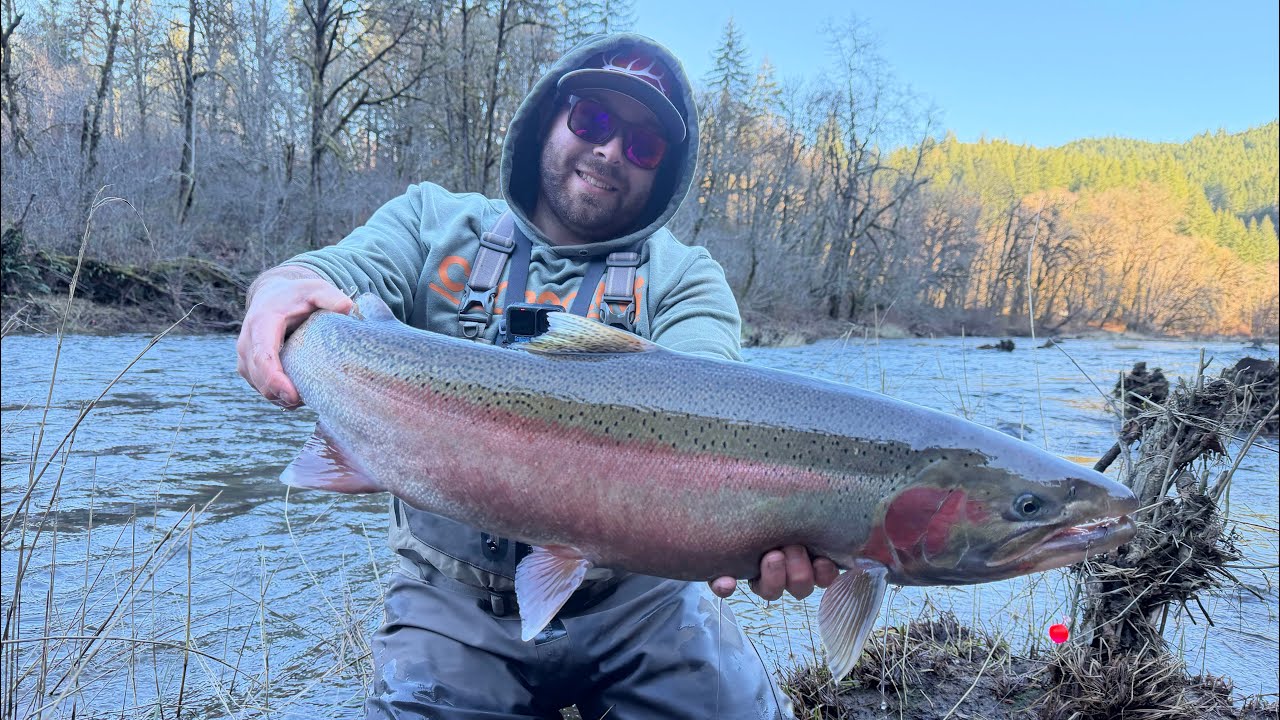 Coastal River Winter Steelhead Fishing - MONSTER Fish Caught 