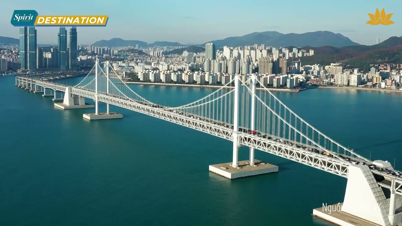 Khám phá Busan - Thành phố biển xinh đẹp nhất Hàn Quốc