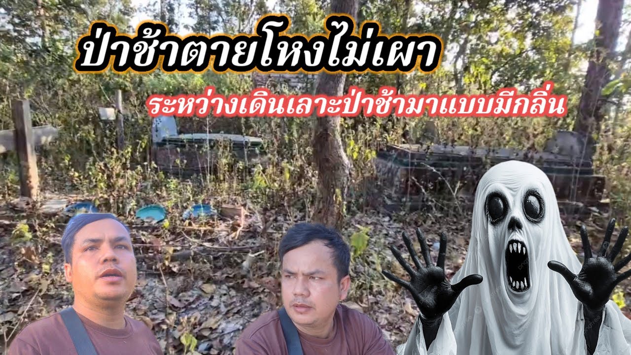 ป่าช้าทีไม่เผา ระหว่างเดินเลาะป่าช้าตายโหงมาแบบมีกลิ่น #ชีวิตคนเรามีแค่นี้จริงๆ 7กุมภาพันธ์ค.ศ2026