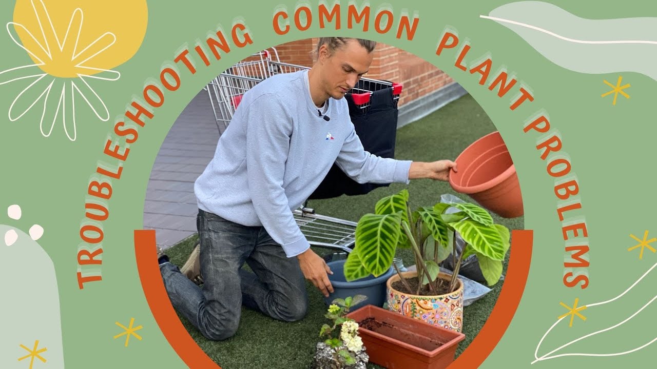 TROUBLESHOOTING COMMON PLANT PROBLEMS (& tips for improved growth)