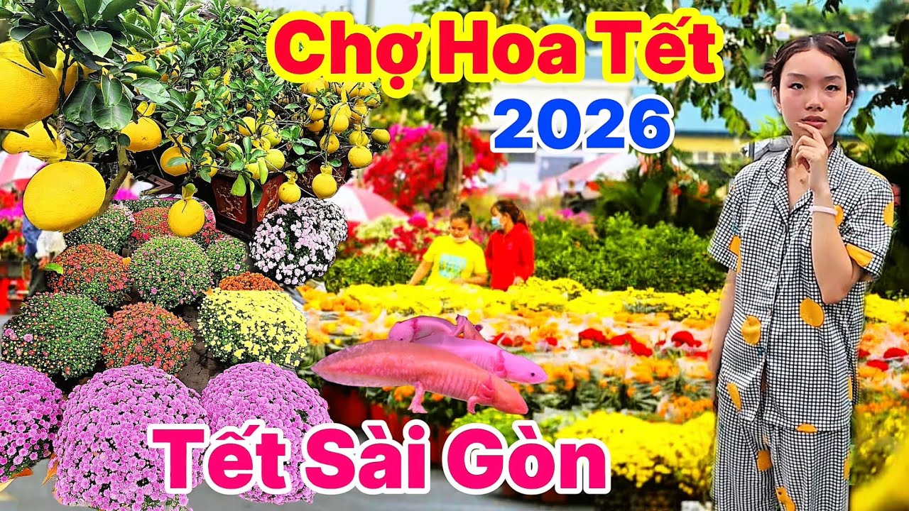 Chợ Hoa Tết 2026 Gần Tết Sài Gòn Sẽ Ra Sao? Bà Con Than Ế