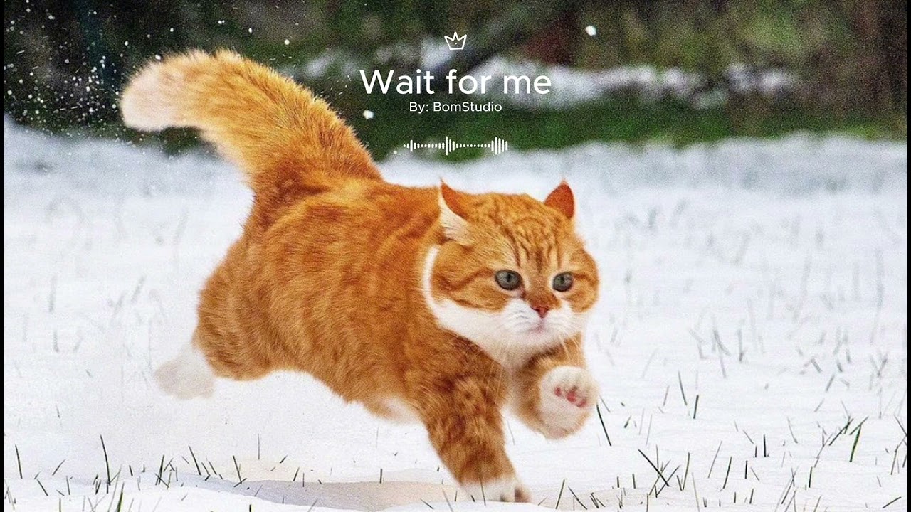 Wait for me (Official Video) Audio, Jazzy Hit-Hop, R&B
