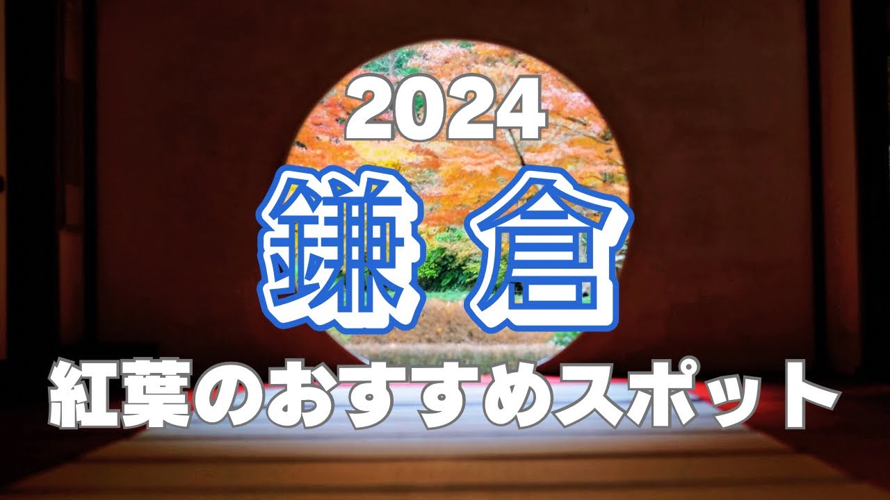 【鎌倉観光】2024年鎌倉の紅葉のおすすめスポット5選とおまけ | 鎌倉 | 観光 | 旅行 | 日帰り | グルメ | 江ノ電 | カフェ | 映えスポット【4K】