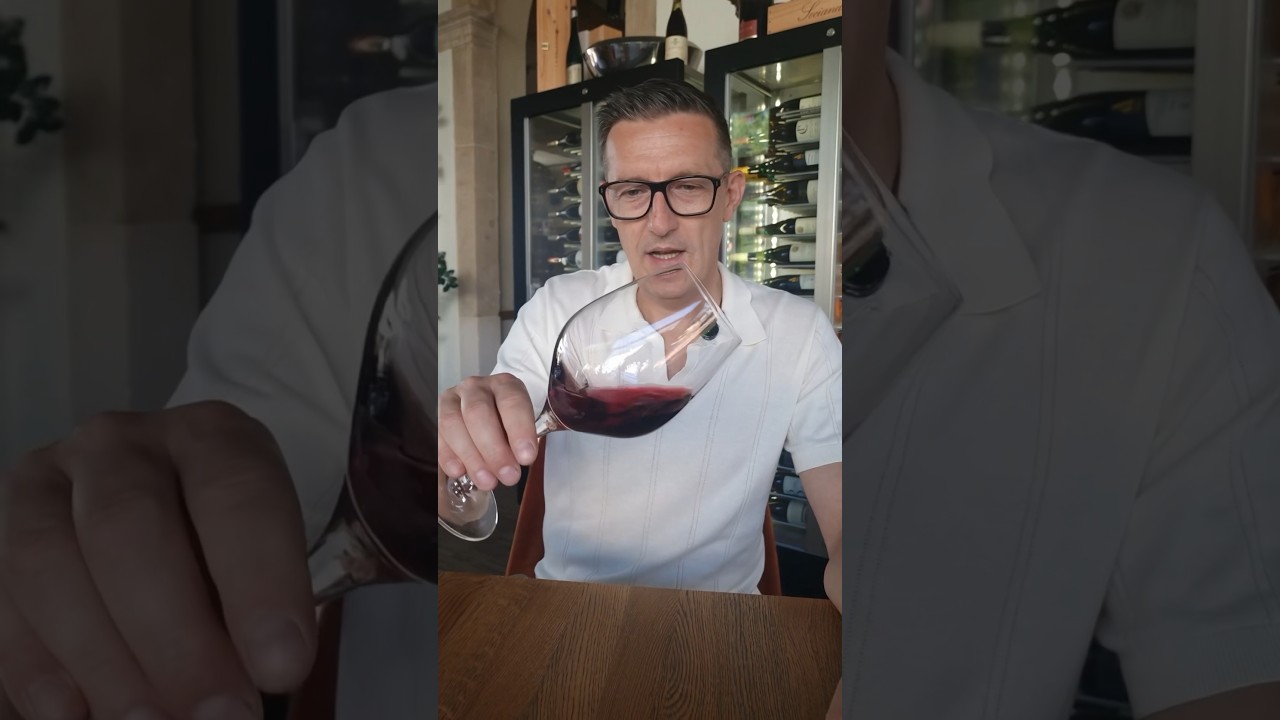 Exploring the Rich Palette of Ph&eacute;lan S&eacute;gur Wines 🍷✨ #winelovers