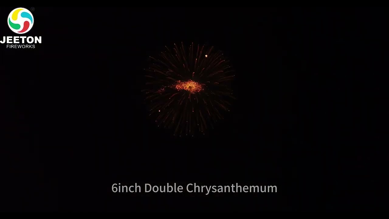 DS060113 6inch Double Chrysanthemum