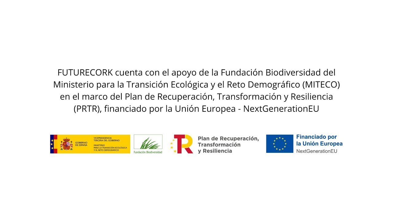 Jornada Emprendimiento FUTURECORK Rueda Chica_Dirección General de Gestión Forestal, Caza y Pesca