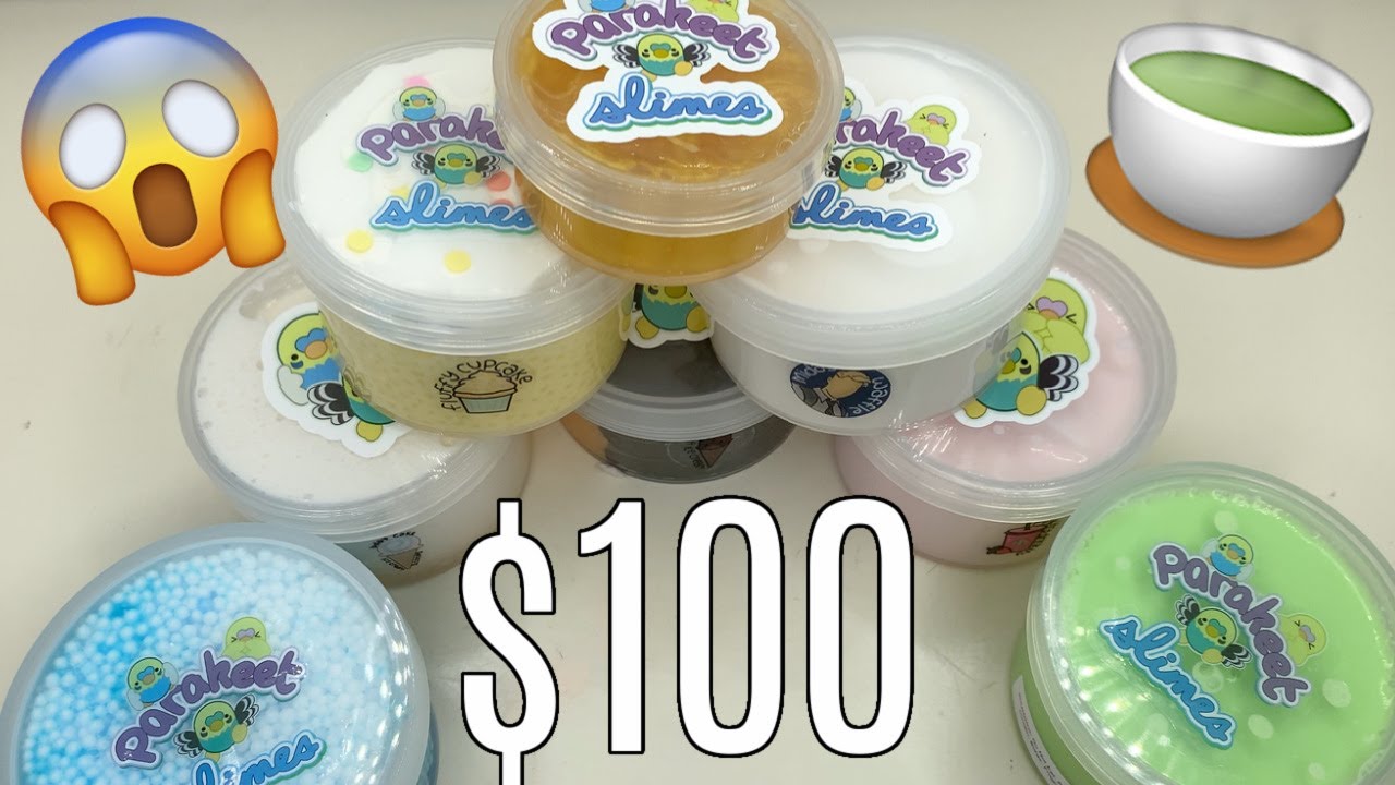 $100 BRUTALLY HONEST SLIME REVIEW?! (ft. ParakeetSlimes)