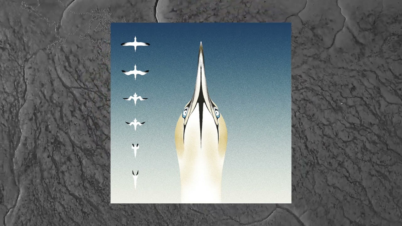 20syl & Christophe Panzani - Heceta Head