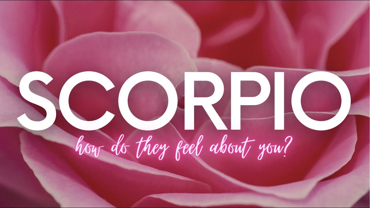 #SCORPIO “GUILT & REGRET HAUNT ME FOR GHOSTING YOU IN THE PAST... I APOLOGIZE I LEFT YOU HANGING”
