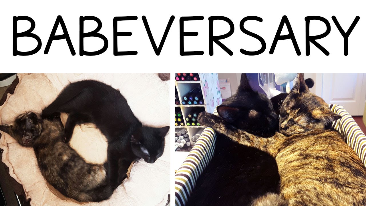 ONE YEAR BABEVERSARY