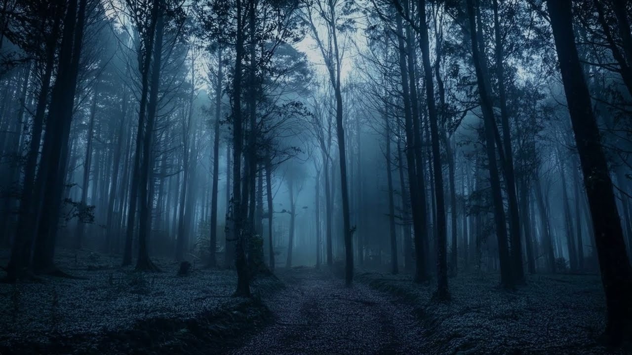 Creepy Forest With Creepy CONSEQUENCE (based on real story)
