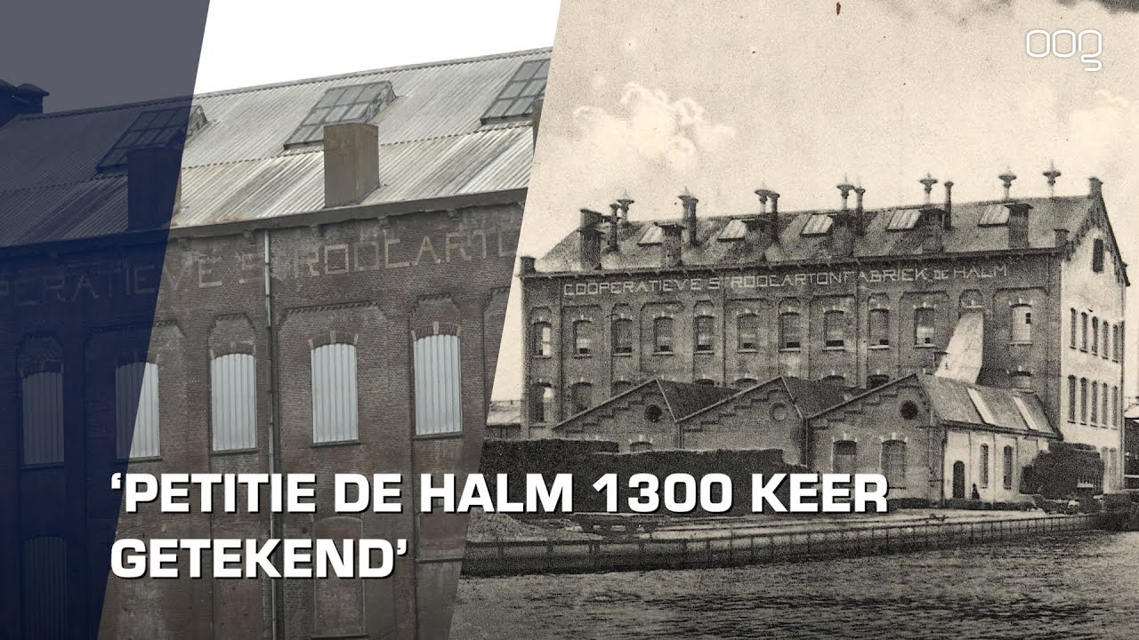 Petitie voor behoud strokartonfabriek De Halm: &ldquo;Het vertelt de geschiedenis van het dorp&rdquo;