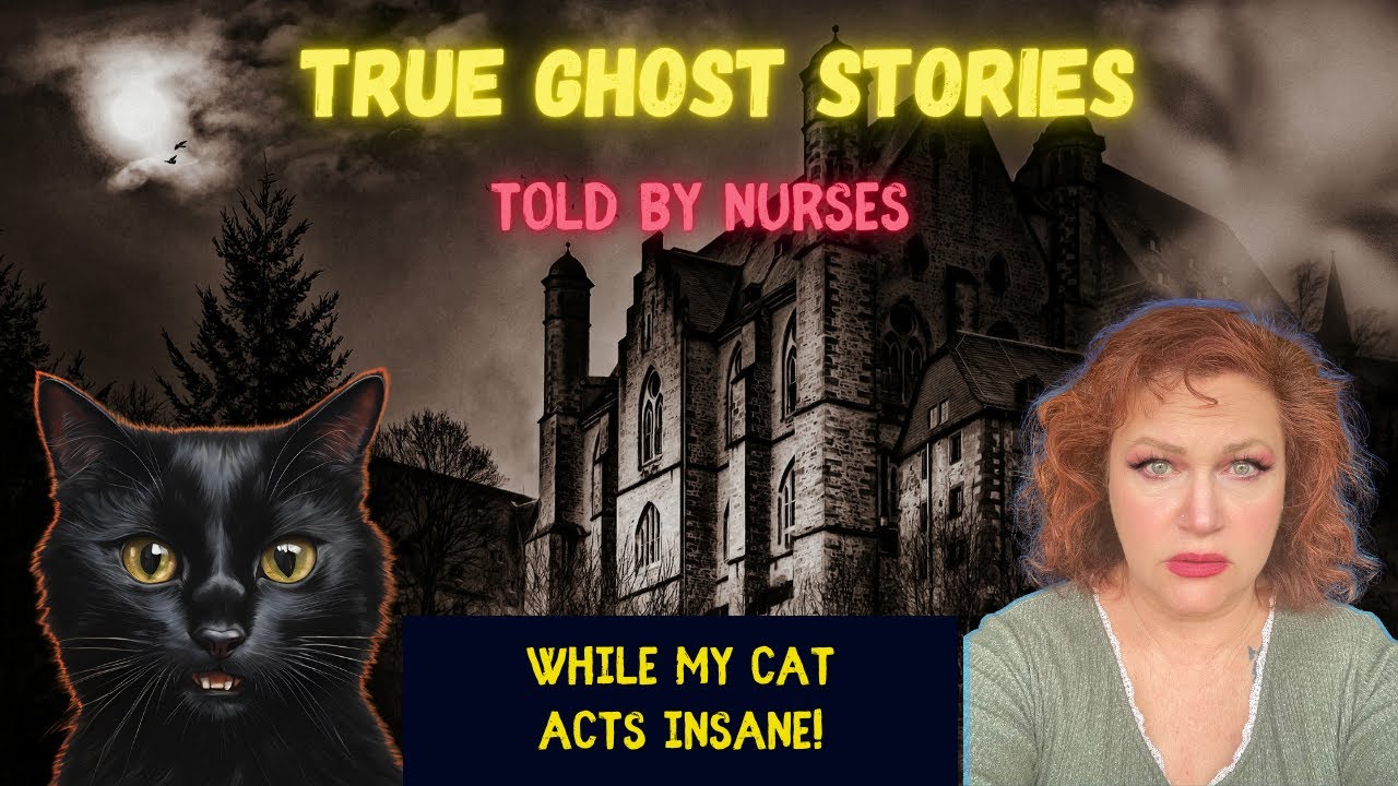 Telling True Nursing Ghost Stories while my cat is acting insane!
