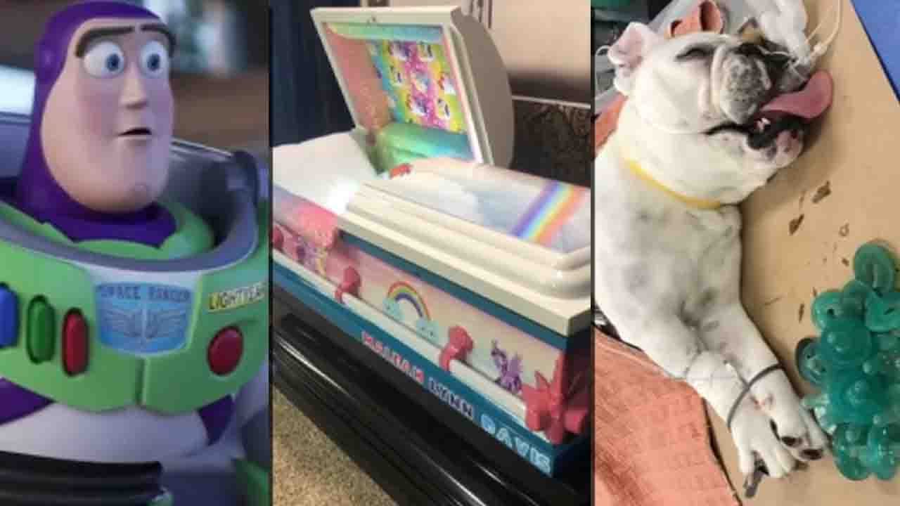 Maleah Davis funeral, 'Toy Story 4,' bulldog swallows pacifiers, phones causing head horns: THE 60