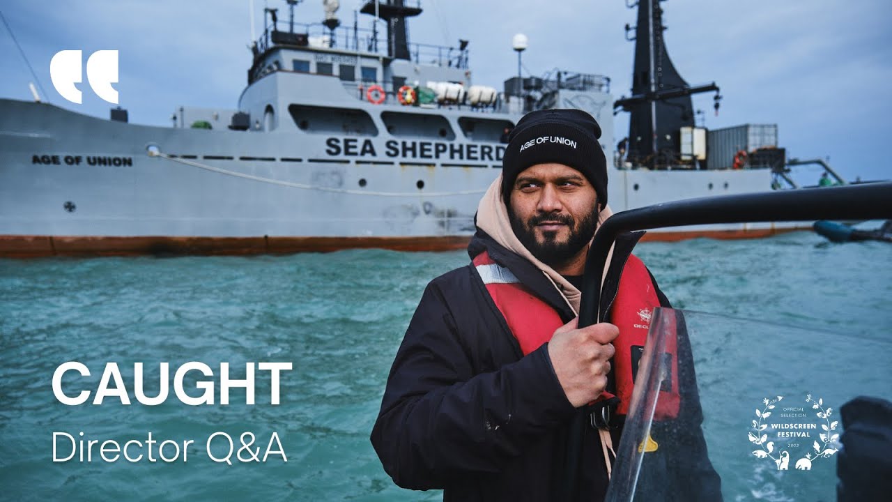 Dax Dasilva on making Ocean Conservation film ‘CAUGHT’ | Director Q&As
