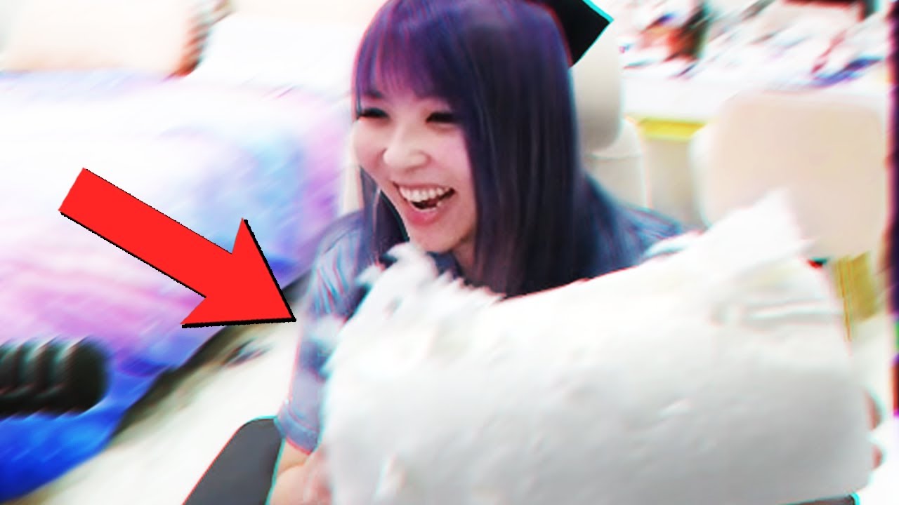 my cat did this ft. DisguisedToast, Sykkuno, Fuslie & friends