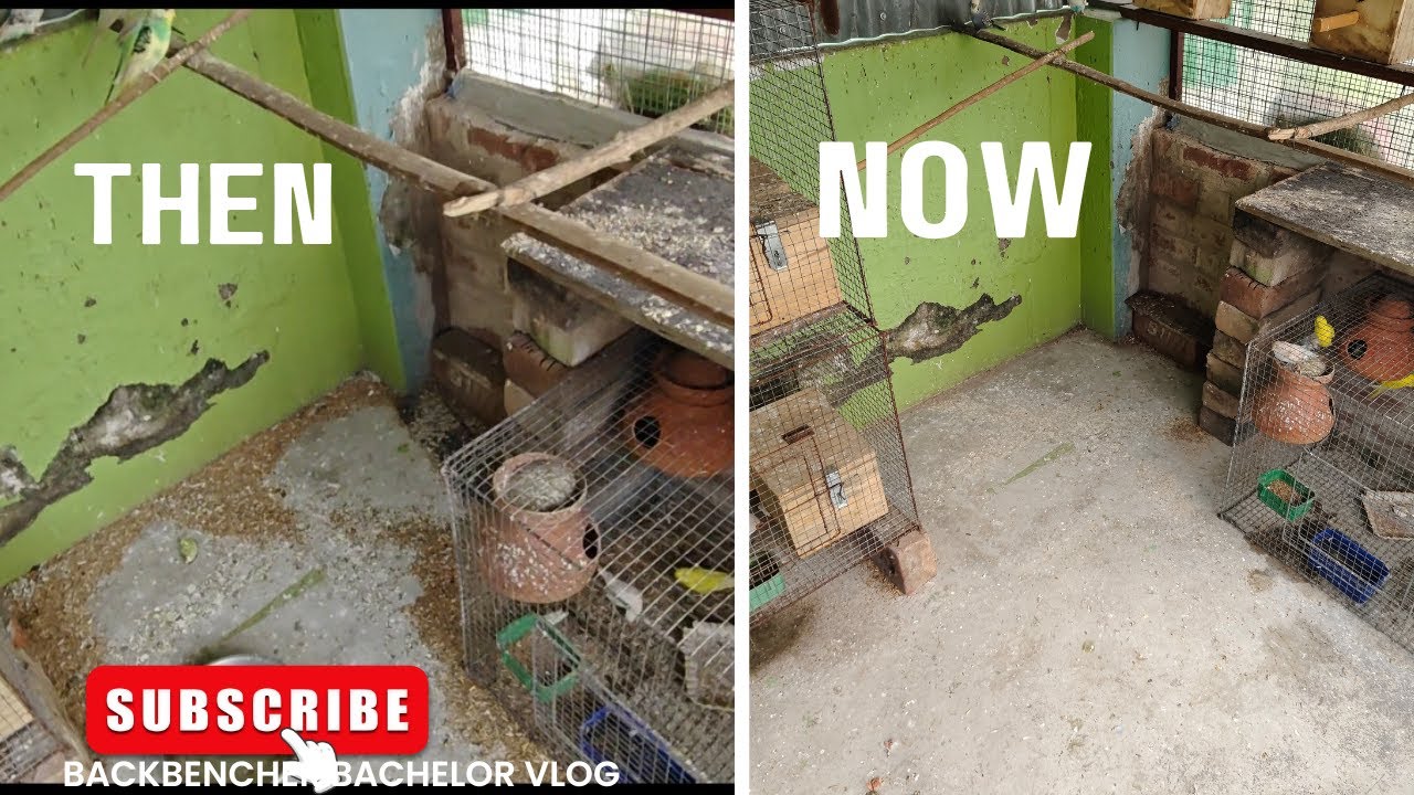 আমার colony এর এ কি অবস্থা?😱