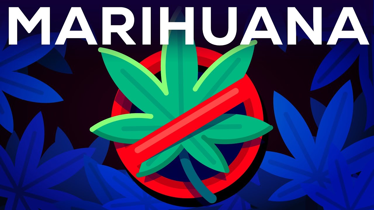 Análisis de tres argumentos a favor de la ilegalidad de la marihuana