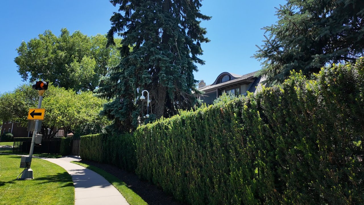 Afternoon Walk in Warren Buffett’s Neighborhood | Summer Day, Ambient Sounds