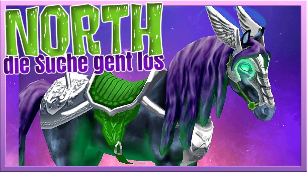 Auf der SUCHE nach NORTH 🦄 Horse Riding Tales #20
