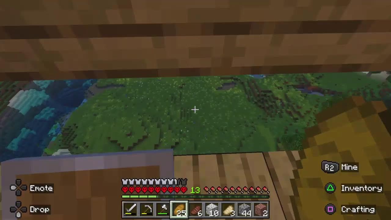 Hardcore Minecraft