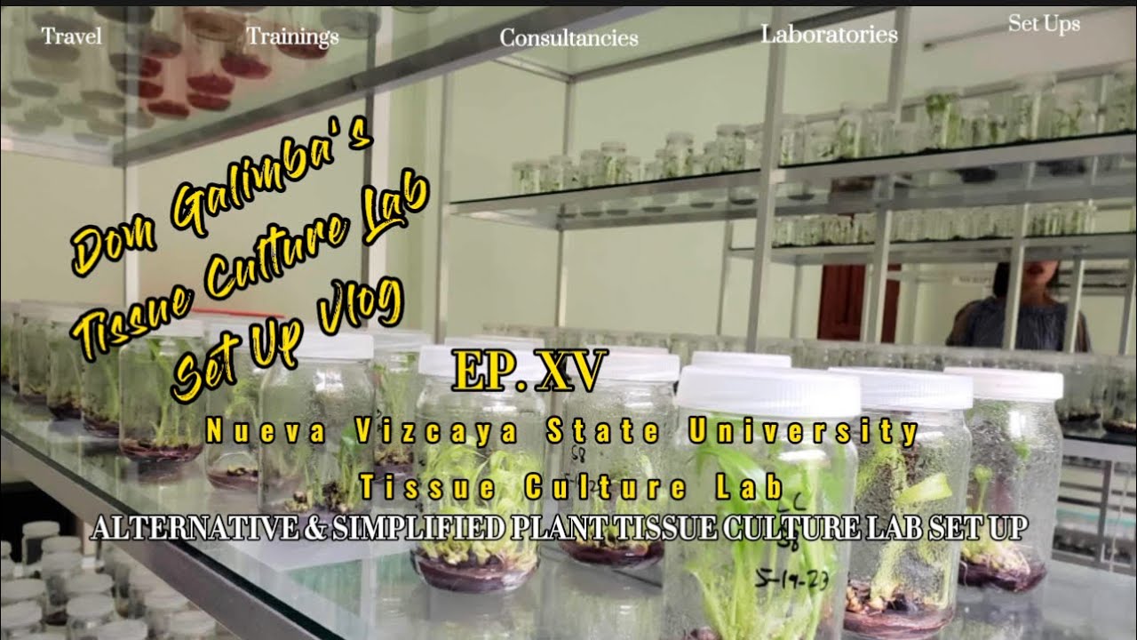 Banana Tissue Culture Research Laboratory in Nueva Vizcaya, Philippines