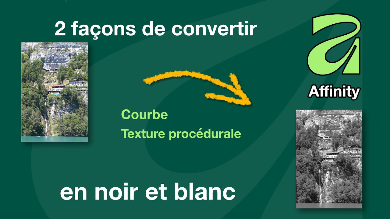 Affinity Studio, photo, du noir et blanc avec la courbe et les textures procédurales