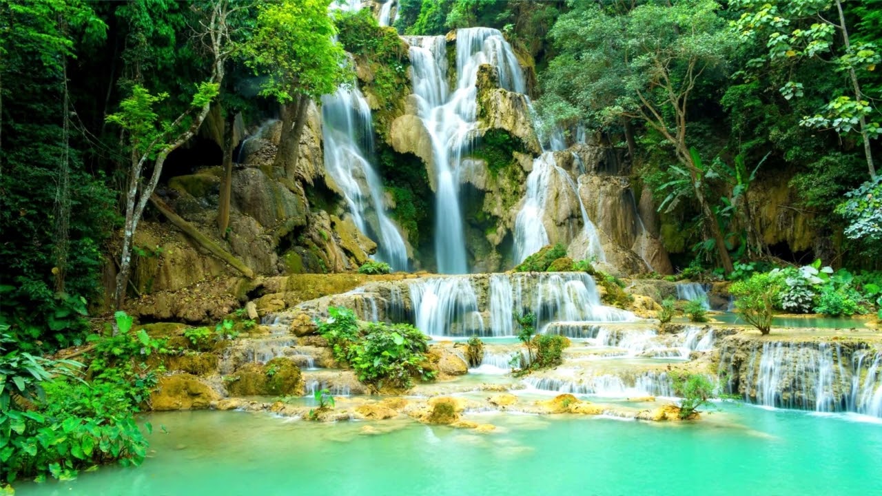 Musique relaxante 🎶 pour dormir avec bruit de l'eau et sons des oiseaux,  Relaxation nature 🍀