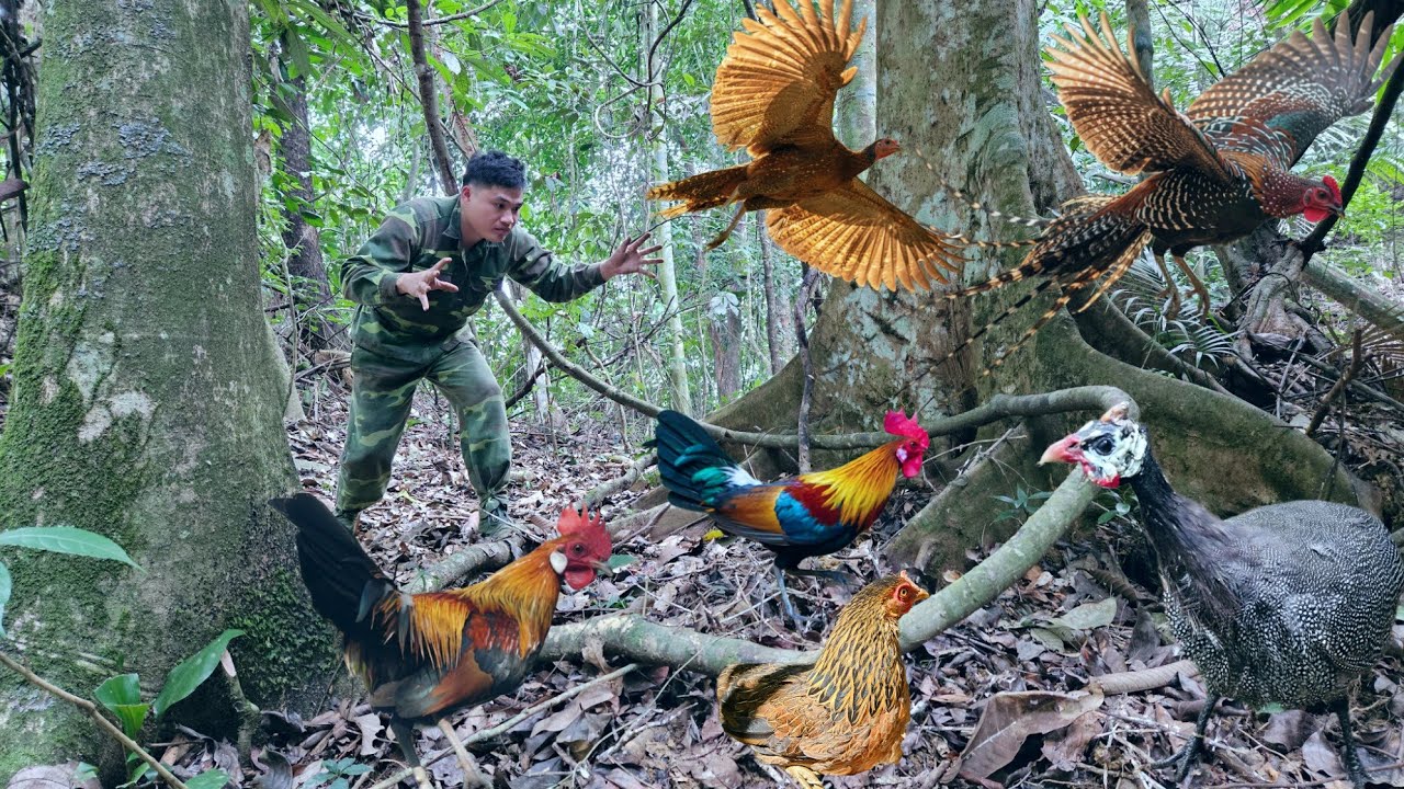 200 days of trapping wild boars, wild chickens, and fish - survival skills