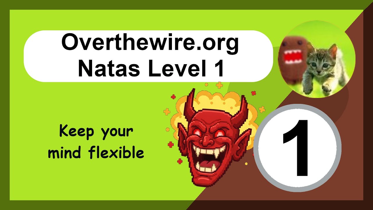 Overthewire - Natas - Level 1 - Web App Hacking - Alternative Methods